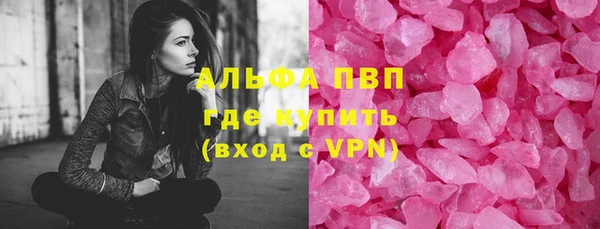индика Богданович