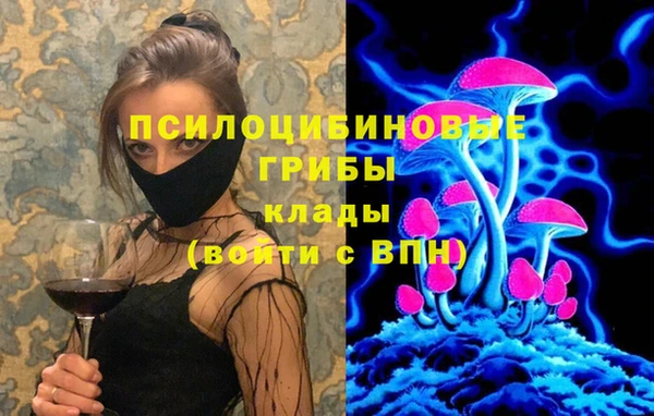 крисы Богородицк