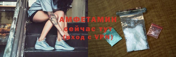 крисы Богородицк