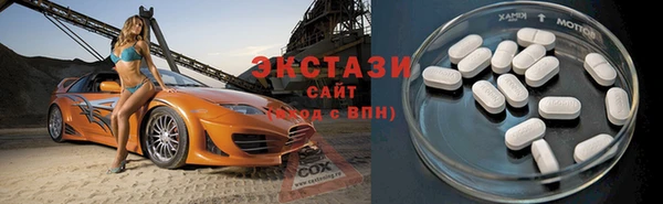крисы Богородицк