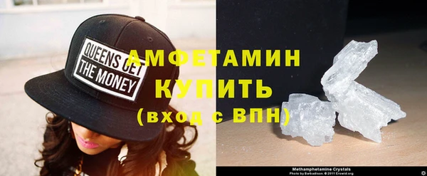индика Богданович