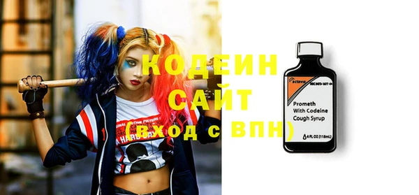 индика Богданович