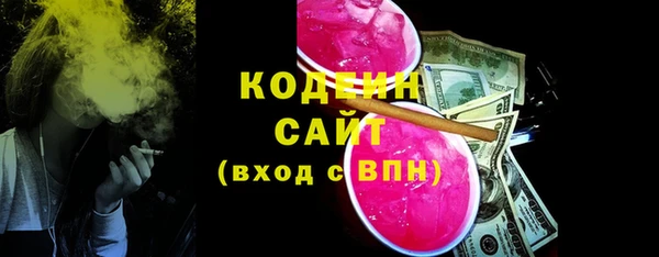 крисы Богородицк