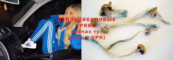 кокс Богородск