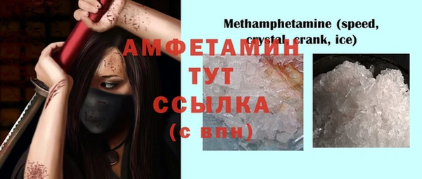 индика Богданович