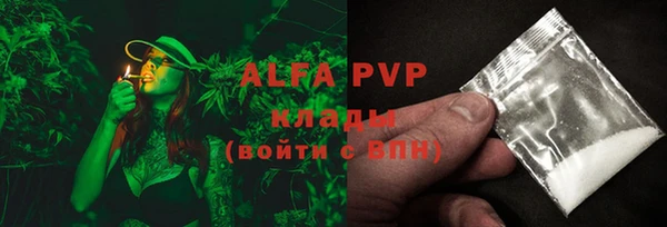 индика Богданович