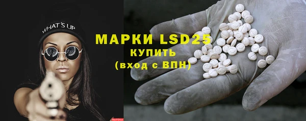 крисы Богородицк