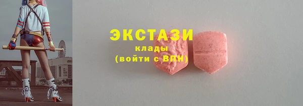 крисы Богородицк