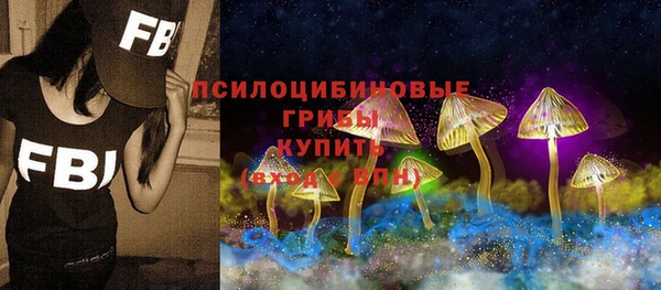 кокс Богородск