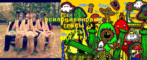крисы Богородицк
