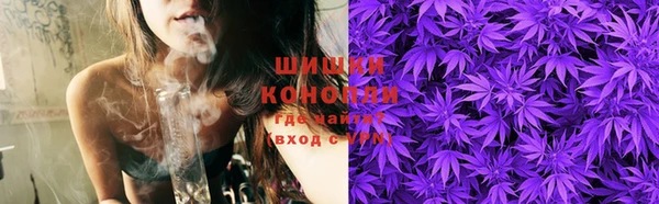 крисы Богородицк