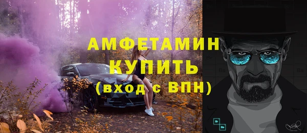 индика Богданович
