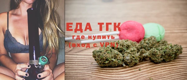 индика Богданович