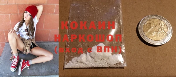 индика Богданович