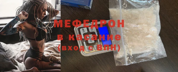 индика Богданович