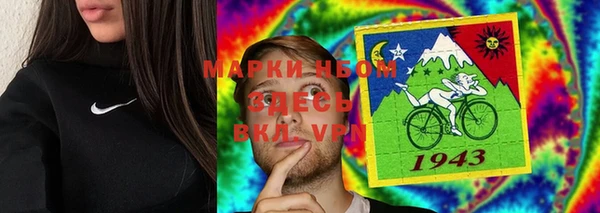 крисы Богородицк