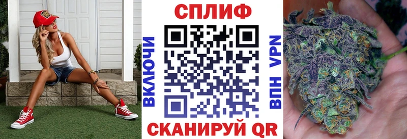 Купить закладки  Карачаевск  Каннабис Ganja 